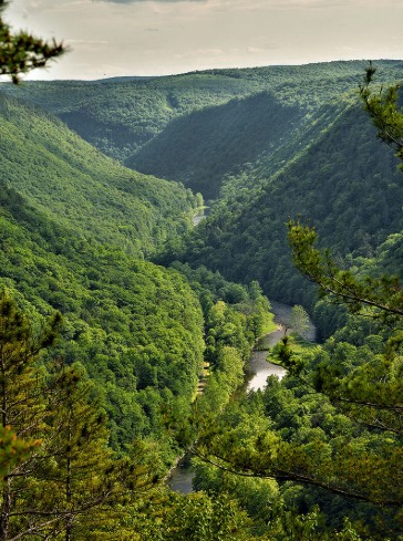 Pennsylvania Grand Canyon near Wellsboro, Pennsylvania