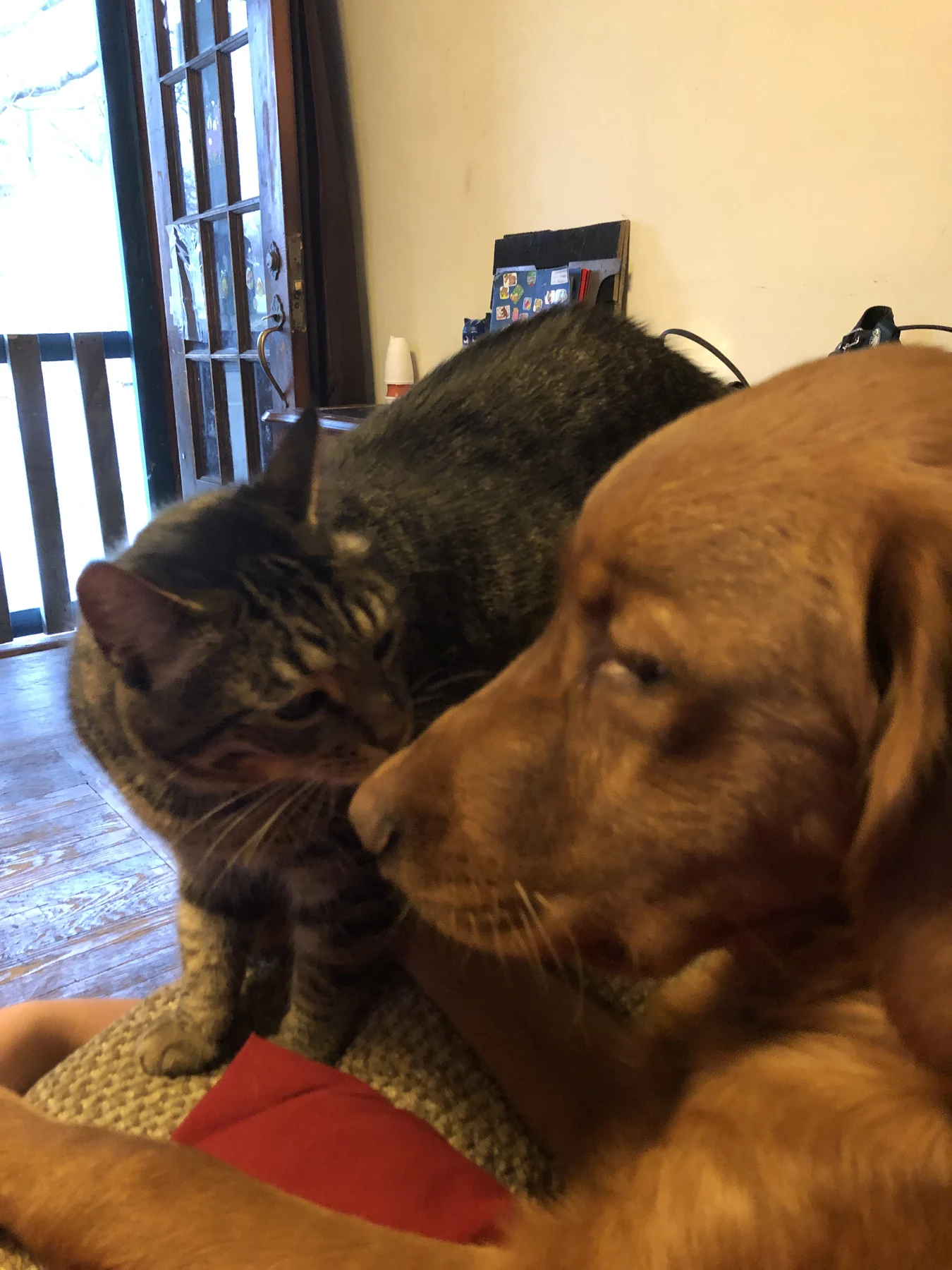 Family remembrance photo